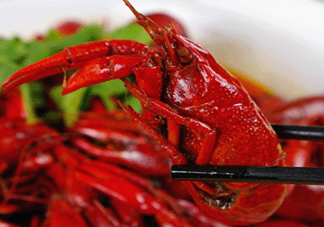 9月份還有小龍蝦嗎？九月份龍蝦怎么養(yǎng)？