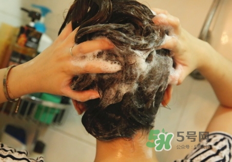 hair recipe水果洗發(fā)水怎么樣？hair recipe洗發(fā)水哪款好用