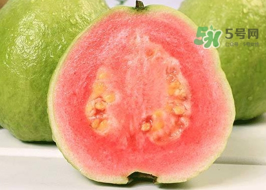 紅芭樂怎么吃？芭樂是熱的還是涼的