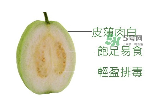 芭樂是什么季節(jié)的水果？芭樂什么時候吃最好