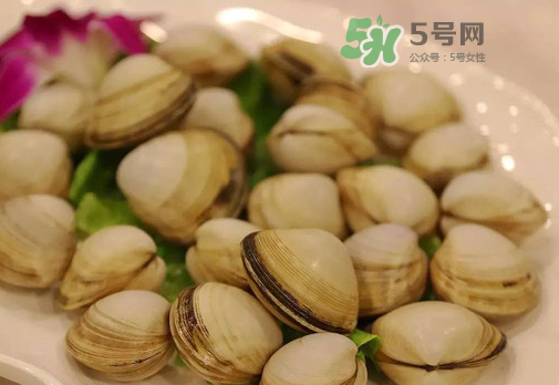 花蛤可以放冰箱冷凍嗎？花蛤放冰箱保鮮能吃嗎？