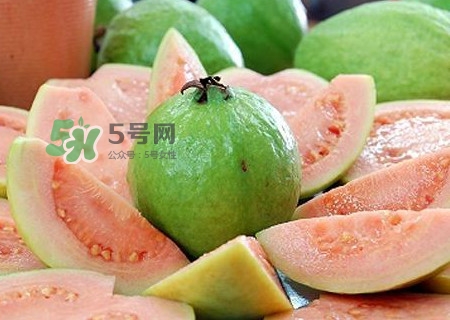 芭樂(lè)皮能吃嗎？芭樂(lè)皮可以吃嗎