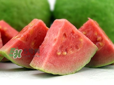 芭樂怎么保存？芭樂可以放冰箱嗎