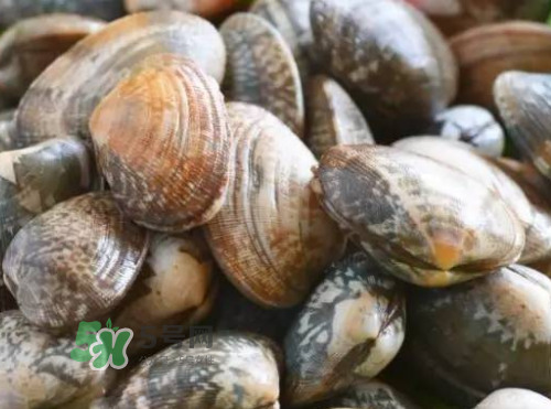 花蛤開口了還能吃嗎？花蛤開口不動(dòng)還能吃嗎？