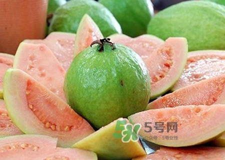 新鮮芭樂可以放幾天？芭樂能放多久