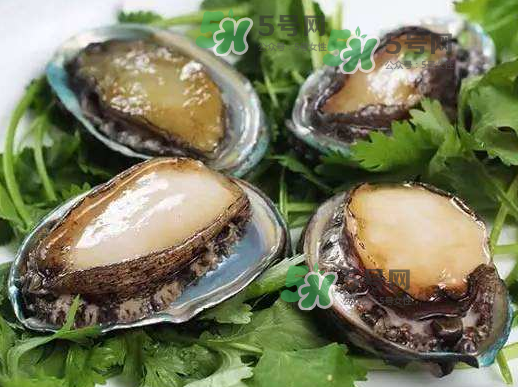 花蛤沒開口能吃嗎？花蛤不張嘴是不是死了？