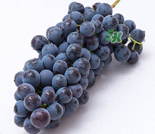 夏黑葡萄有籽嗎？夏黑葡萄好吃嗎？