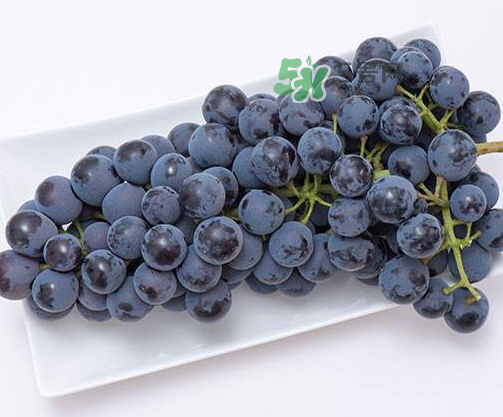 夏黑葡萄有籽嗎？夏黑葡萄好吃嗎？
