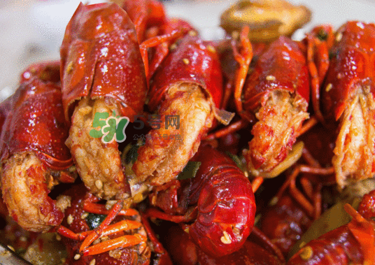 9月份還有小龍蝦嗎？九月份龍蝦怎么養(yǎng)？