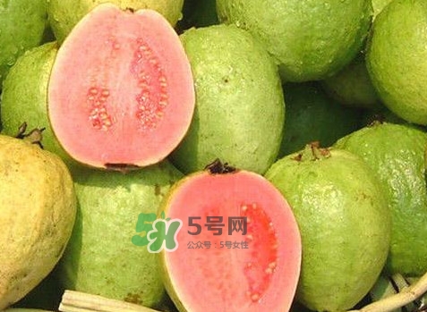 紅芭樂(lè)吃多了會(huì)怎么樣？吃白芭樂(lè)好還是紅芭樂(lè)好