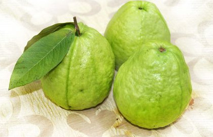 芭樂沒熟能吃嗎？芭樂怎么催熟