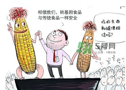 雜交水稻是不是轉(zhuǎn)基因？轉(zhuǎn)基因食品有哪些？