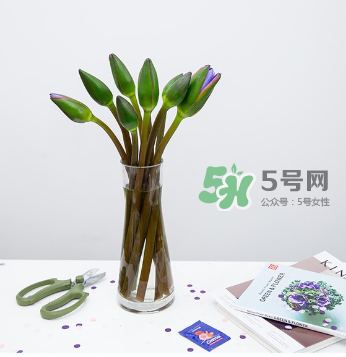 鮮花怎么保存時(shí)間長 鮮花怎么保鮮 鮮花怎么保存時(shí)間長 鮮花怎么保鮮