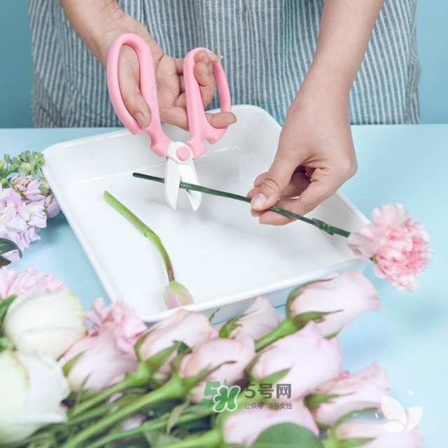 鮮花怎么保存時(shí)間長 鮮花怎么保鮮 鮮花怎么保存時(shí)間長 鮮花怎么保鮮