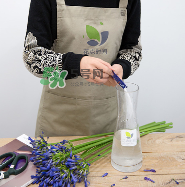 鮮花怎么保存時(shí)間長 鮮花怎么保鮮 鮮花怎么保存時(shí)間長 鮮花怎么保鮮