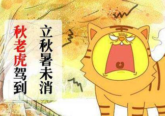 秋老虎熱嗎？末伏熱還是秋老虎熱？