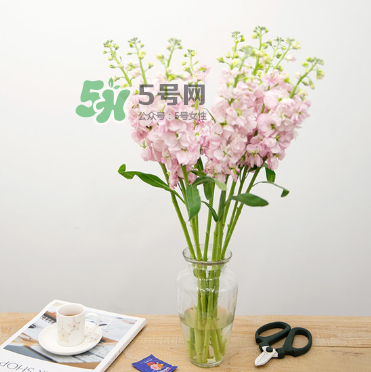 鮮花怎么保存時(shí)間長 鮮花怎么保鮮 鮮花怎么保存時(shí)間長 鮮花怎么保鮮