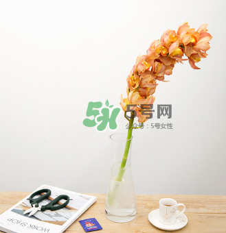 鮮花怎么保存時(shí)間長 鮮花怎么保鮮 鮮花怎么保存時(shí)間長 鮮花怎么保鮮