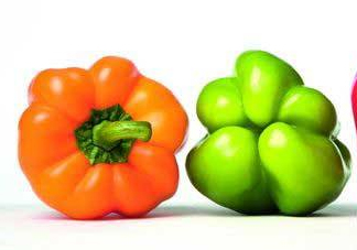 轉(zhuǎn)基因是什么意思？美國人不吃轉(zhuǎn)基因?qū)Ｙu中國人