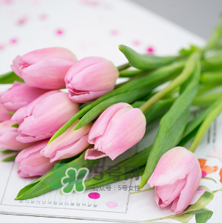 鮮花怎么保存時(shí)間長 鮮花怎么保鮮 鮮花怎么保存時(shí)間長 鮮花怎么保鮮