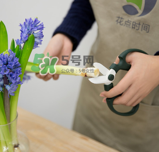 鮮花怎么保存時(shí)間長 鮮花怎么保鮮 鮮花怎么保存時(shí)間長 鮮花怎么保鮮