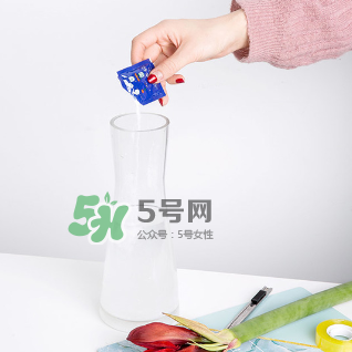 鮮花怎么保存時(shí)間長 鮮花怎么保鮮 鮮花怎么保存時(shí)間長 鮮花怎么保鮮