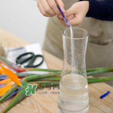 鮮花怎么保存時(shí)間長 鮮花怎么保鮮 鮮花怎么保存時(shí)間長 鮮花怎么保鮮