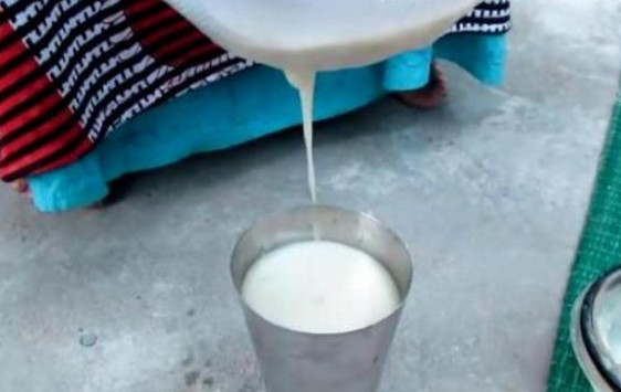 芭樂沒熟能吃嗎？芭樂怎么催熟