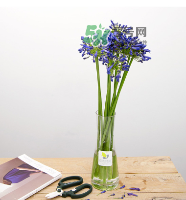 鮮花怎么保存時(shí)間長 鮮花怎么保鮮 鮮花怎么保存時(shí)間長 鮮花怎么保鮮