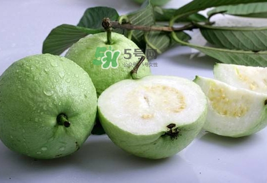 紅芭樂(lè)吃多了會(huì)怎么樣？吃白芭樂(lè)好還是紅芭樂(lè)好