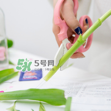 鮮花怎么保存時(shí)間長 鮮花怎么保鮮 鮮花怎么保存時(shí)間長 鮮花怎么保鮮