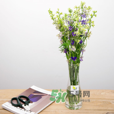 鮮花怎么保存時(shí)間長 鮮花怎么保鮮 鮮花怎么保存時(shí)間長 鮮花怎么保鮮