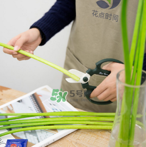 鮮花怎么保存時(shí)間長 鮮花怎么保鮮 鮮花怎么保存時(shí)間長 鮮花怎么保鮮