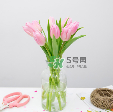 鮮花怎么保存時(shí)間長 鮮花怎么保鮮 鮮花怎么保存時(shí)間長 鮮花怎么保鮮