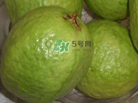 芭樂(lè)怎么挑選？如何挑選紅心芭樂(lè)