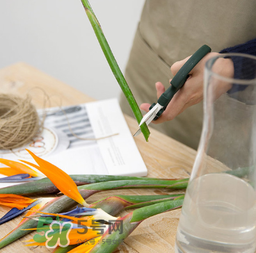 鮮花怎么保存時(shí)間長 鮮花怎么保鮮 鮮花怎么保存時(shí)間長 鮮花怎么保鮮