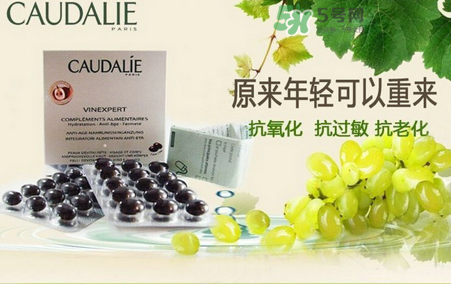 歐緹麗葡萄籽膠囊怎么吃法 歐緹麗葡萄籽膠囊變色 歐緹麗葡萄籽膠囊怎么吃法 歐緹麗葡萄籽膠囊變色