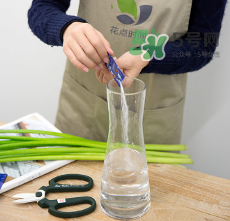 鮮花怎么保存時(shí)間長 鮮花怎么保鮮 鮮花怎么保存時(shí)間長 鮮花怎么保鮮