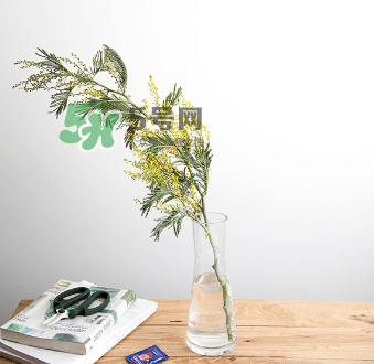 鮮花怎么保存時(shí)間長 鮮花怎么保鮮 鮮花怎么保存時(shí)間長 鮮花怎么保鮮