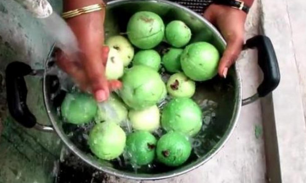 芭樂沒熟能吃嗎？芭樂怎么催熟