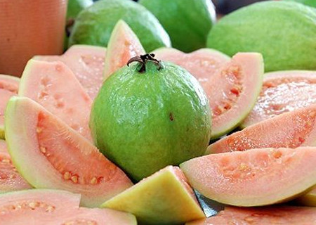 芭樂(lè)多少錢一斤？紅心芭樂(lè)多少錢一斤