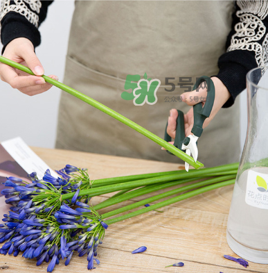 鮮花怎么保存時(shí)間長 鮮花怎么保鮮 鮮花怎么保存時(shí)間長 鮮花怎么保鮮