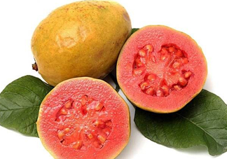 芭樂(lè)可以減肥嗎？吃芭樂(lè)可以喝牛奶嗎？