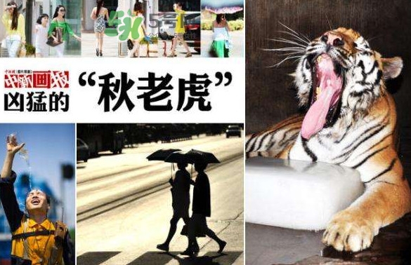 秋老虎有多熱？秋老虎一般是怎么算的？