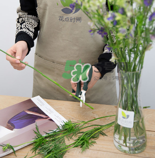 鮮花怎么保存時(shí)間長 鮮花怎么保鮮 鮮花怎么保存時(shí)間長 鮮花怎么保鮮