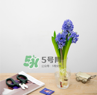 鮮花怎么保存時(shí)間長 鮮花怎么保鮮 鮮花怎么保存時(shí)間長 鮮花怎么保鮮