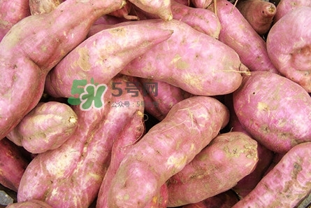 地瓜發(fā)芽了怎么種盆栽？拔絲地瓜怎么熬糖