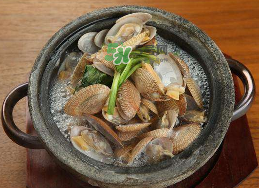 煮花蛤是開水還是冷水？花蛤用冷水還是熱水？