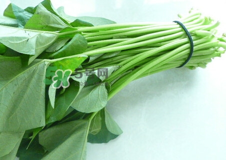 紅薯葉怎么做好吃？什么人不能吃紅薯葉