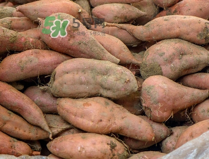 地瓜怎么煮熟的快？地瓜切成片煮還是整個煮好